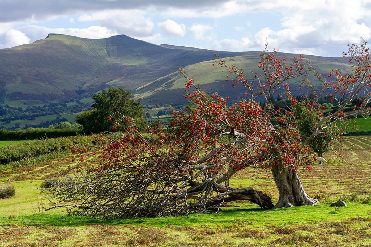 Picturesque 2 Bedroom Miners Cottage Near Bike Park Wales & Brecon Beacons Merthyr Tydfil Eksteriør bilde
